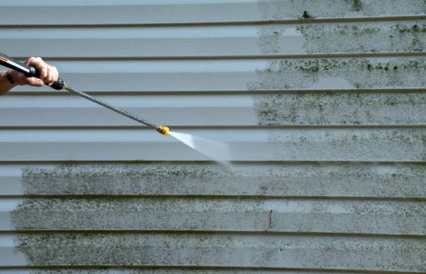 Best Pressure Washing Driveway  in Garrett, IN